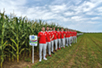 ”Vojvodina NS seme” volleyball players (Photo: Archives of the Institute of Field and Vegetable Crops, Novi Sad)